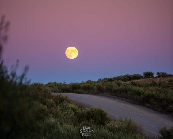 Moonrise at Sunset