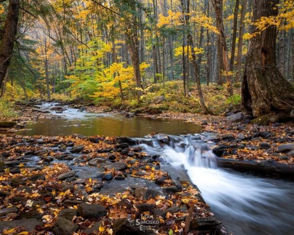 Fall Flow