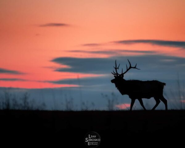 Sunset Stroll