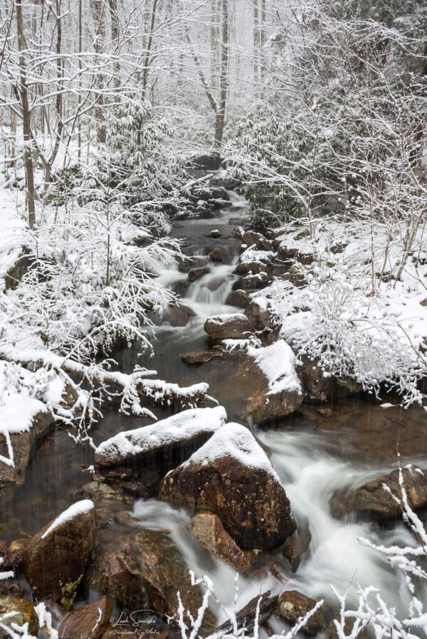 Snowy Stream