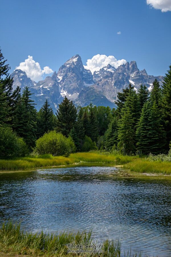 Blue skies and Teton Peaks at Schwabacher Landing