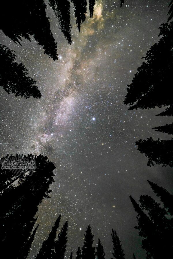 Milky Way over Caribou-Targhee NF