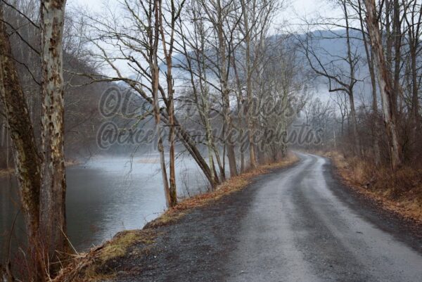 Along the creek