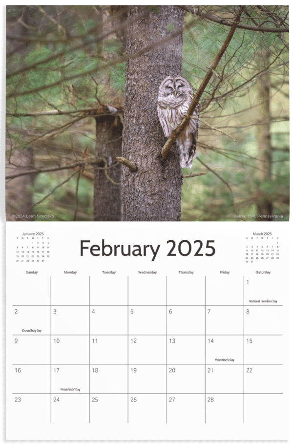 2025 Calendars - Image 3