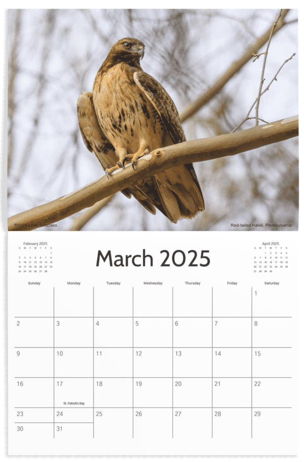 2025 Calendars - Image 4