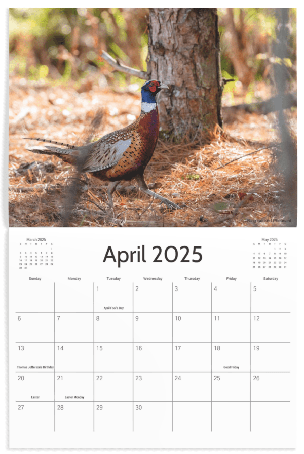 2025 Calendars - Image 5