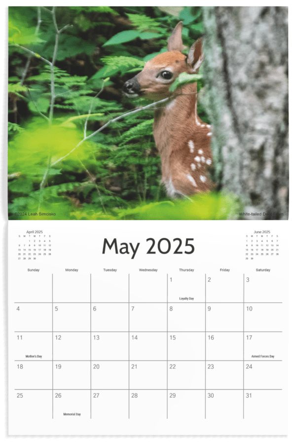 2025 Calendars - Image 6