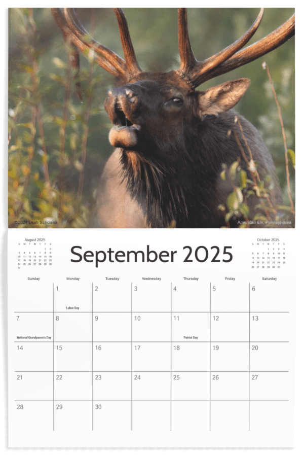 2025 Calendars - Image 10