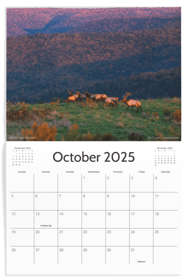 2025 Calendars - Image 11