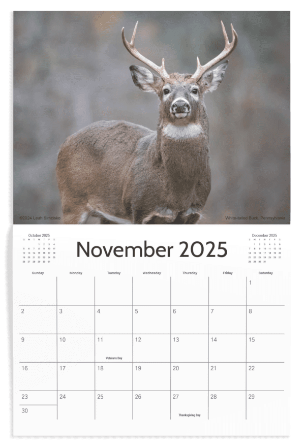 2025 Calendars - Image 12