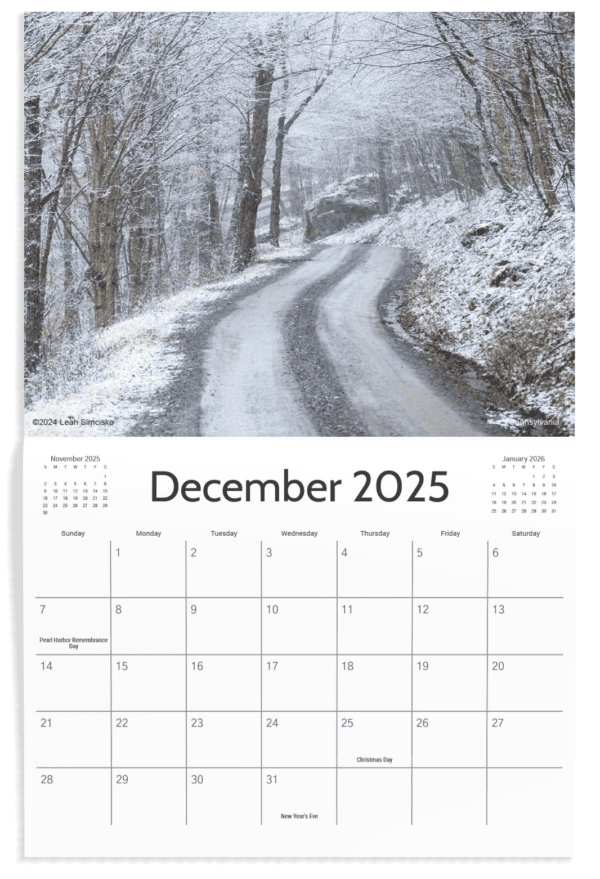 2025 Calendars - Image 13