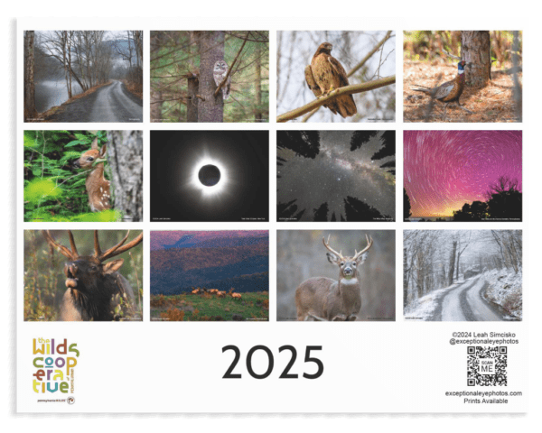 2025 Calendars - Image 15