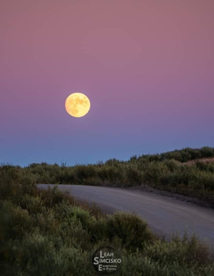 Moonrise at Sunset