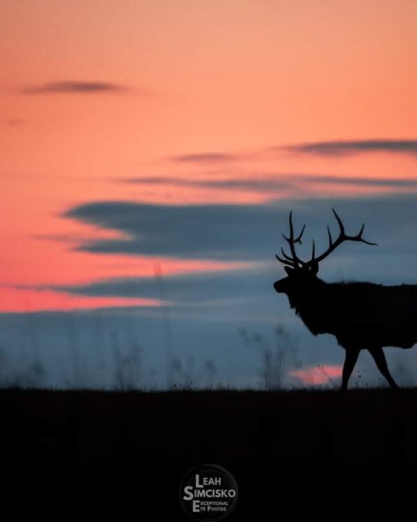 Sunset Stroll