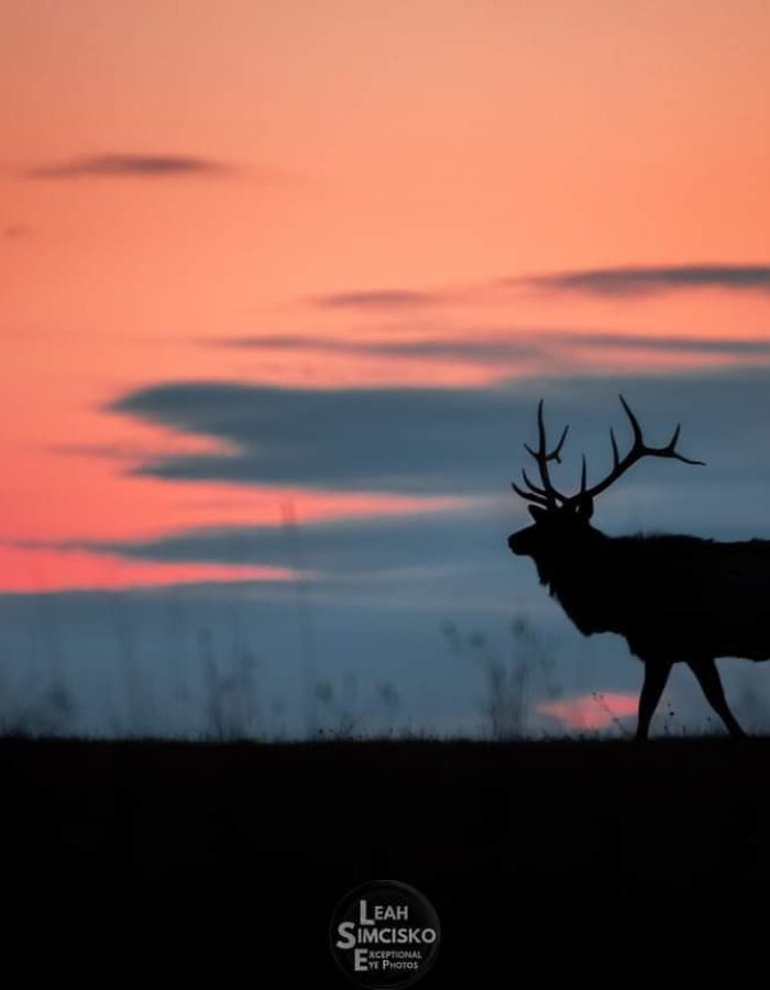 Sunset Stroll