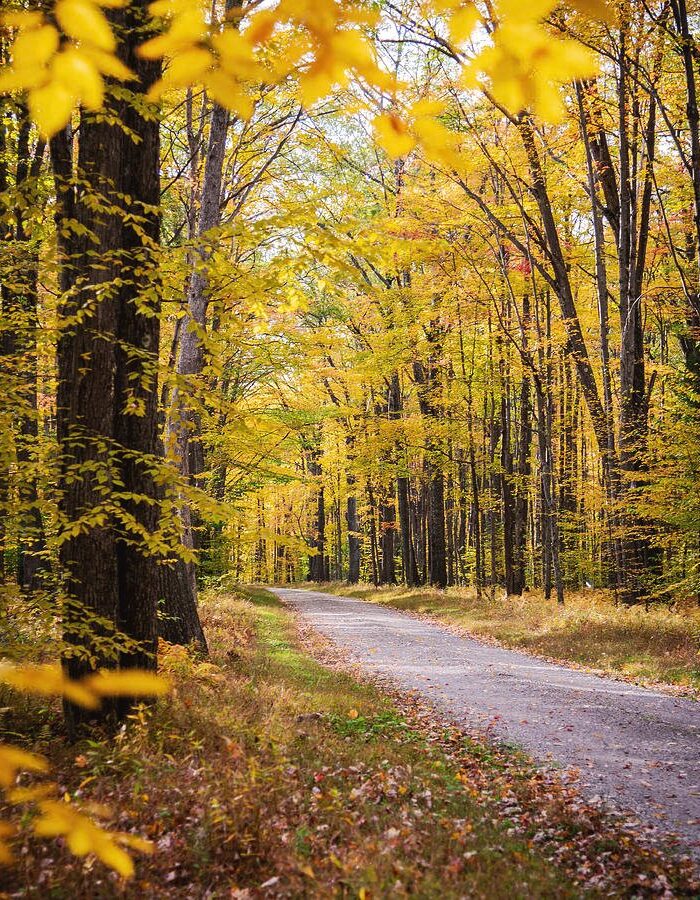 And it was all yellow