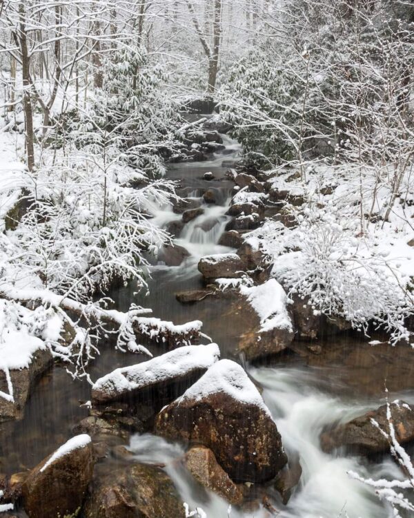 Snowy Stream