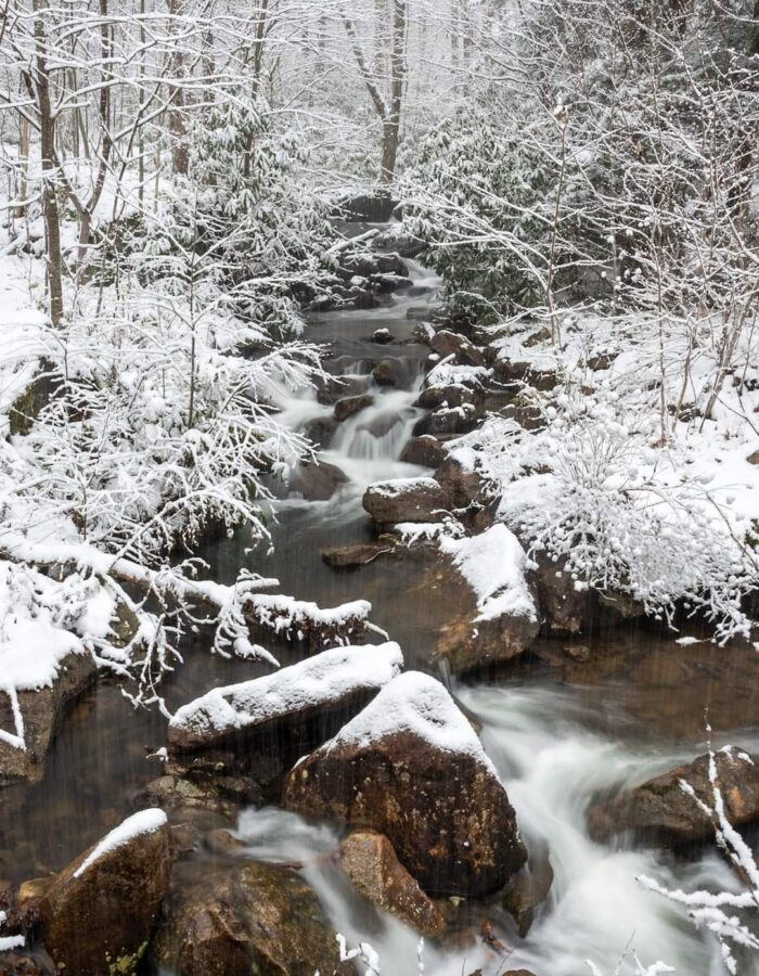 Snowy Stream