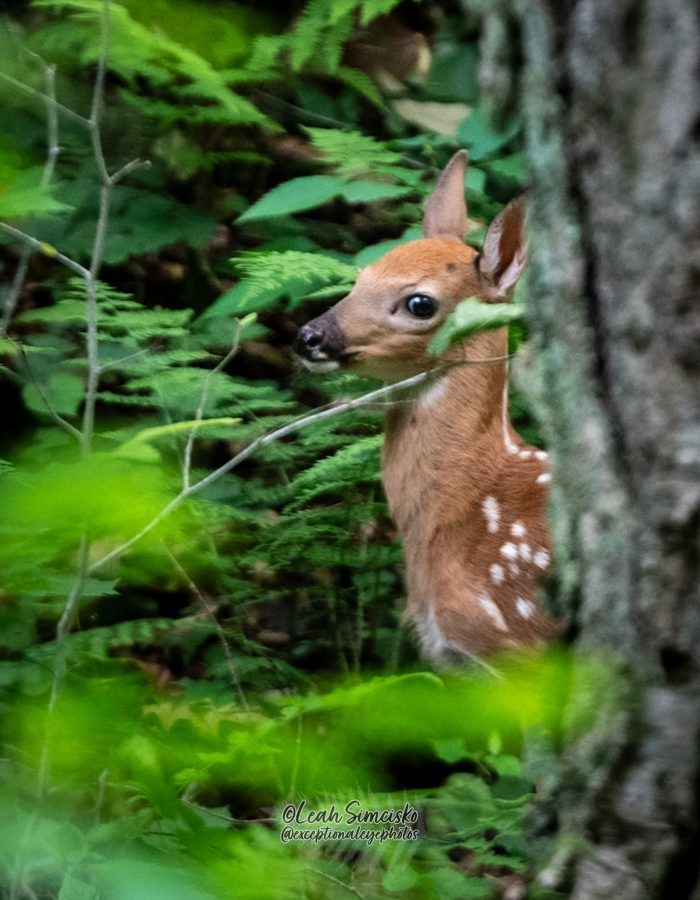 Best side eye award goes to..