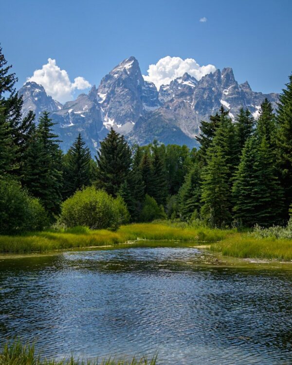 Blue skies and Teton Peaks at Schwabacher Landing