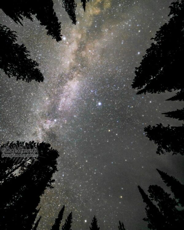 Milky Way over Caribou-Targhee NF