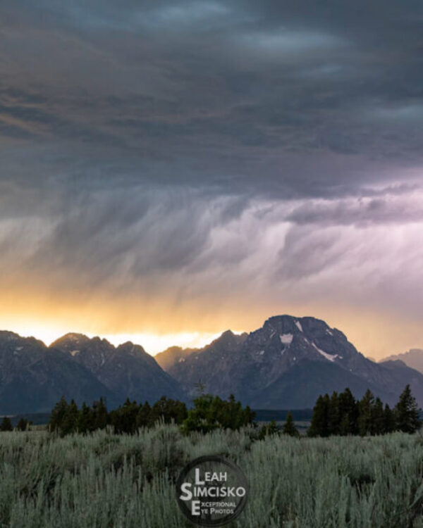 Majestic Teton Lightning 1:3 aspect ratio