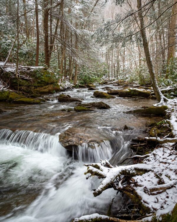 Snow kissed creek